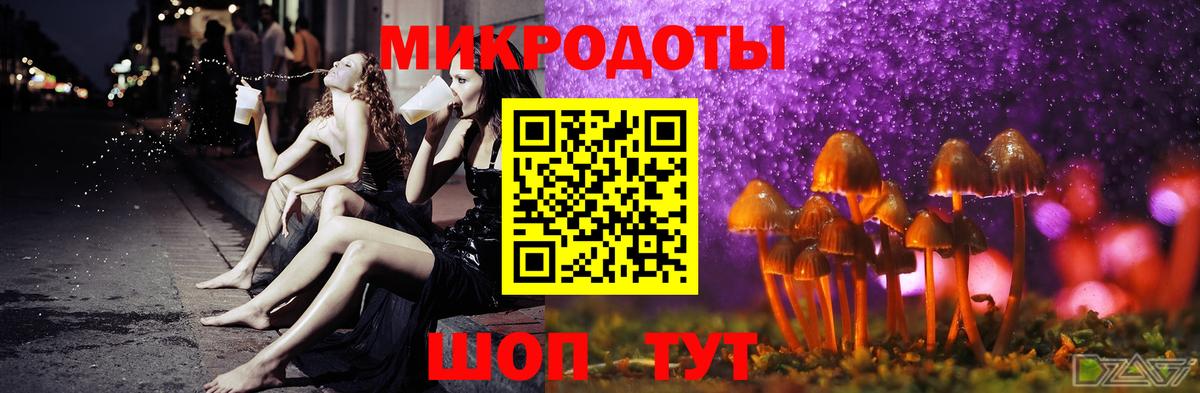 Людиново  Псилоцибиновые грибы Cubensis  Вход с VPN 