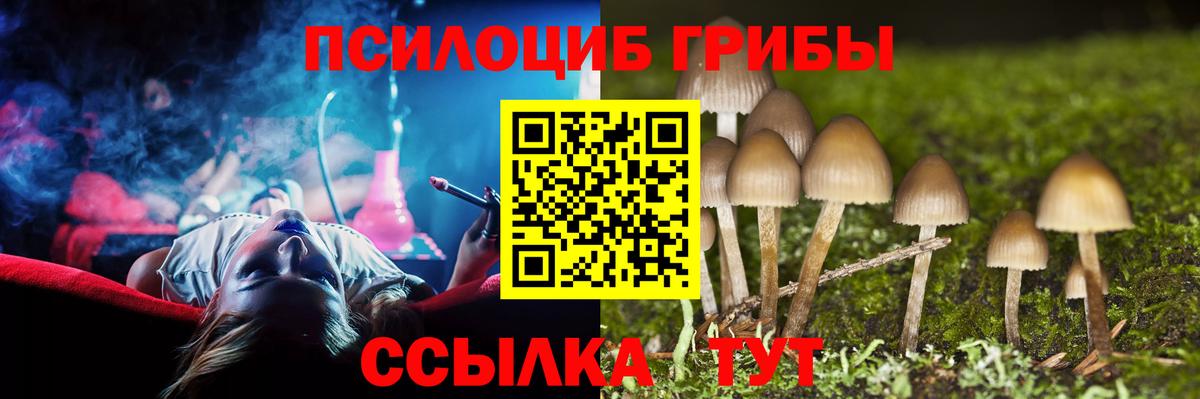 Псилоцибиновые грибы ЛСД Людиново